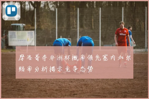 摩洛哥夺非洲杯概率领先塞内加尔赔率分析揭示竞争态势