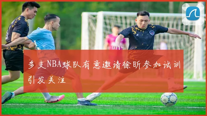 多支NBA球队有意邀请徐昕参加试训引发关注